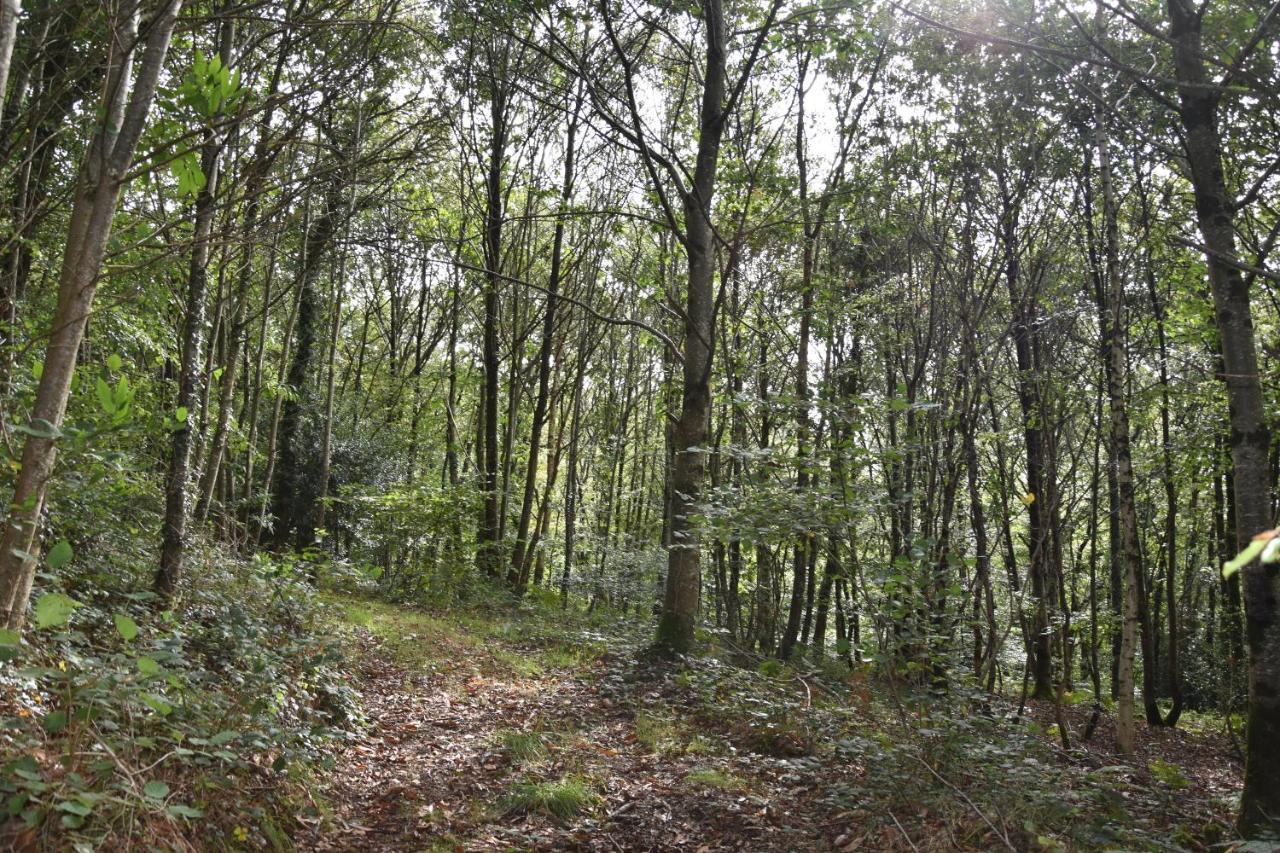 Vila Keryanti Domaine De Lesleac'H Le Ponthou Exteriér fotografie